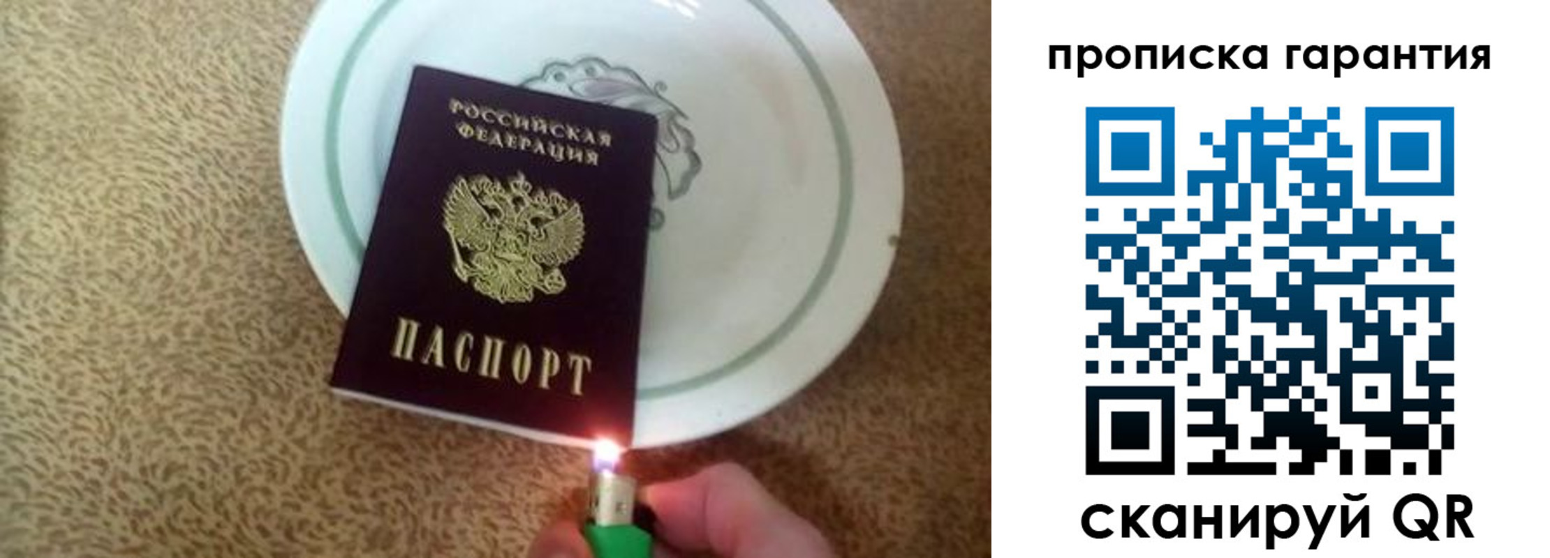 прописка гарантия в Амурской области